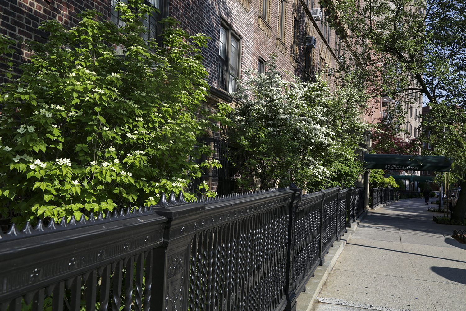 Brooklyn Restoration