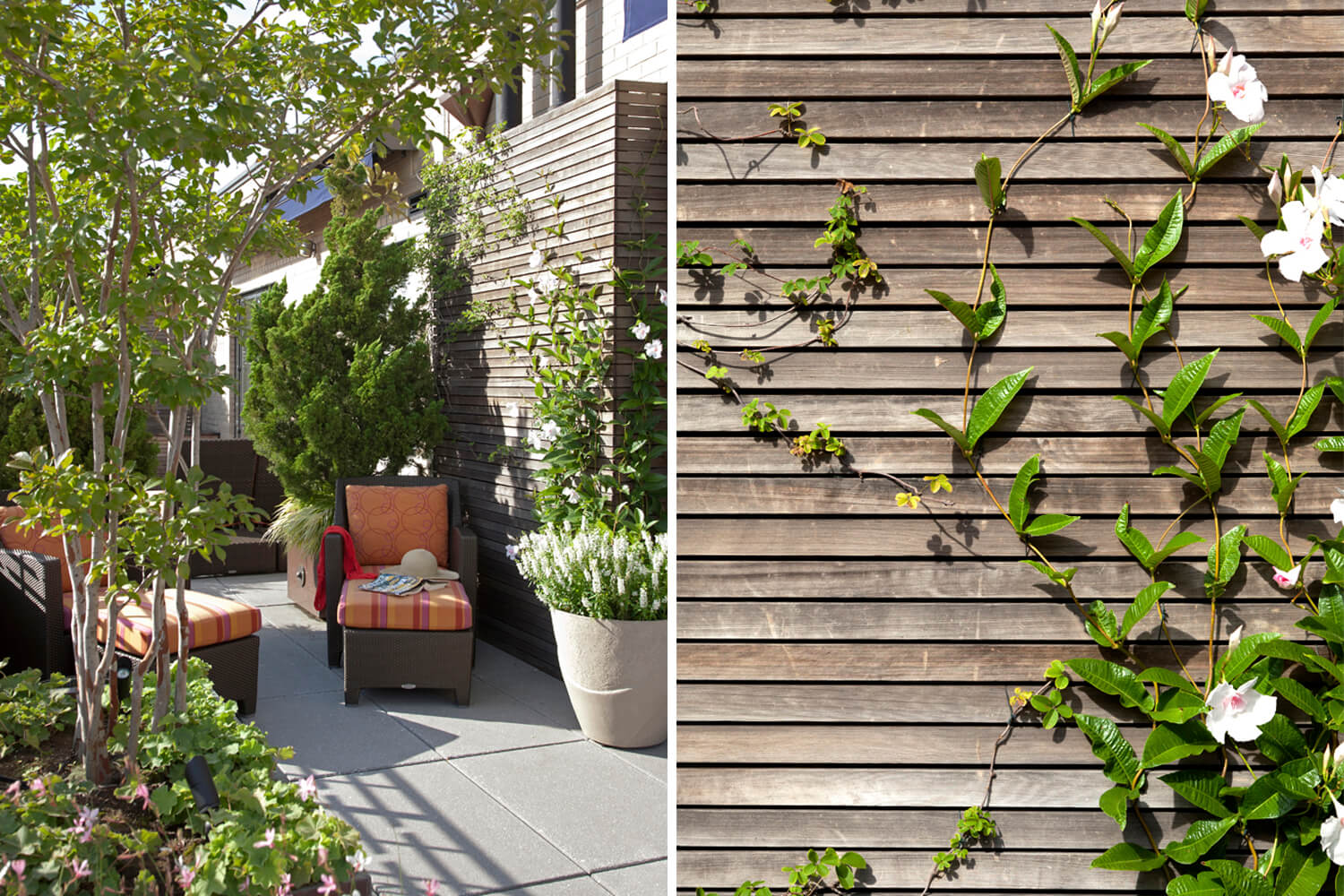 Park Avenue Penthouse