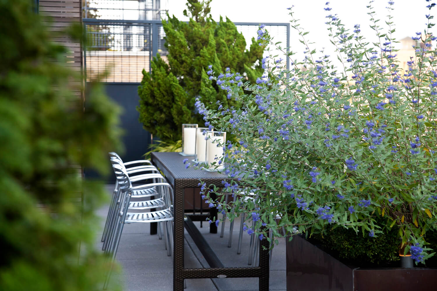 Park Avenue Penthouse