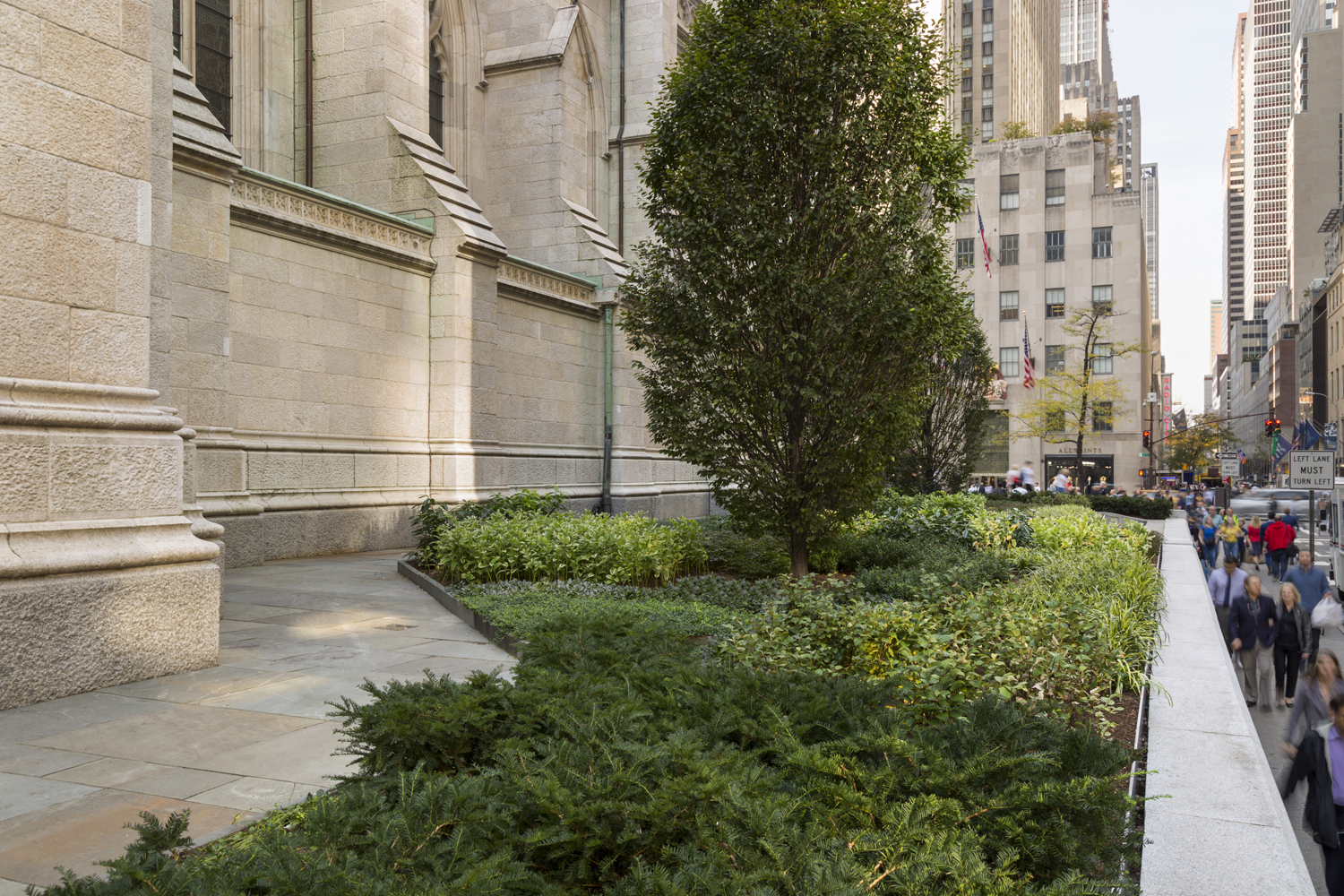 St. Patrick's Cathedral