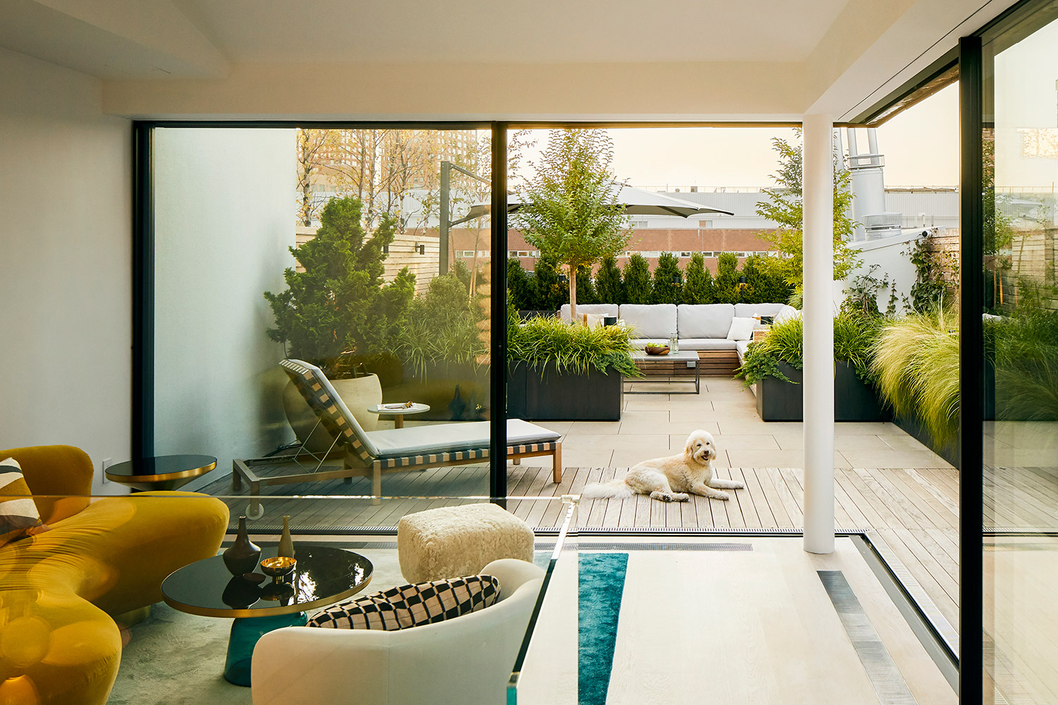 Brooklyn Heights Penthouse