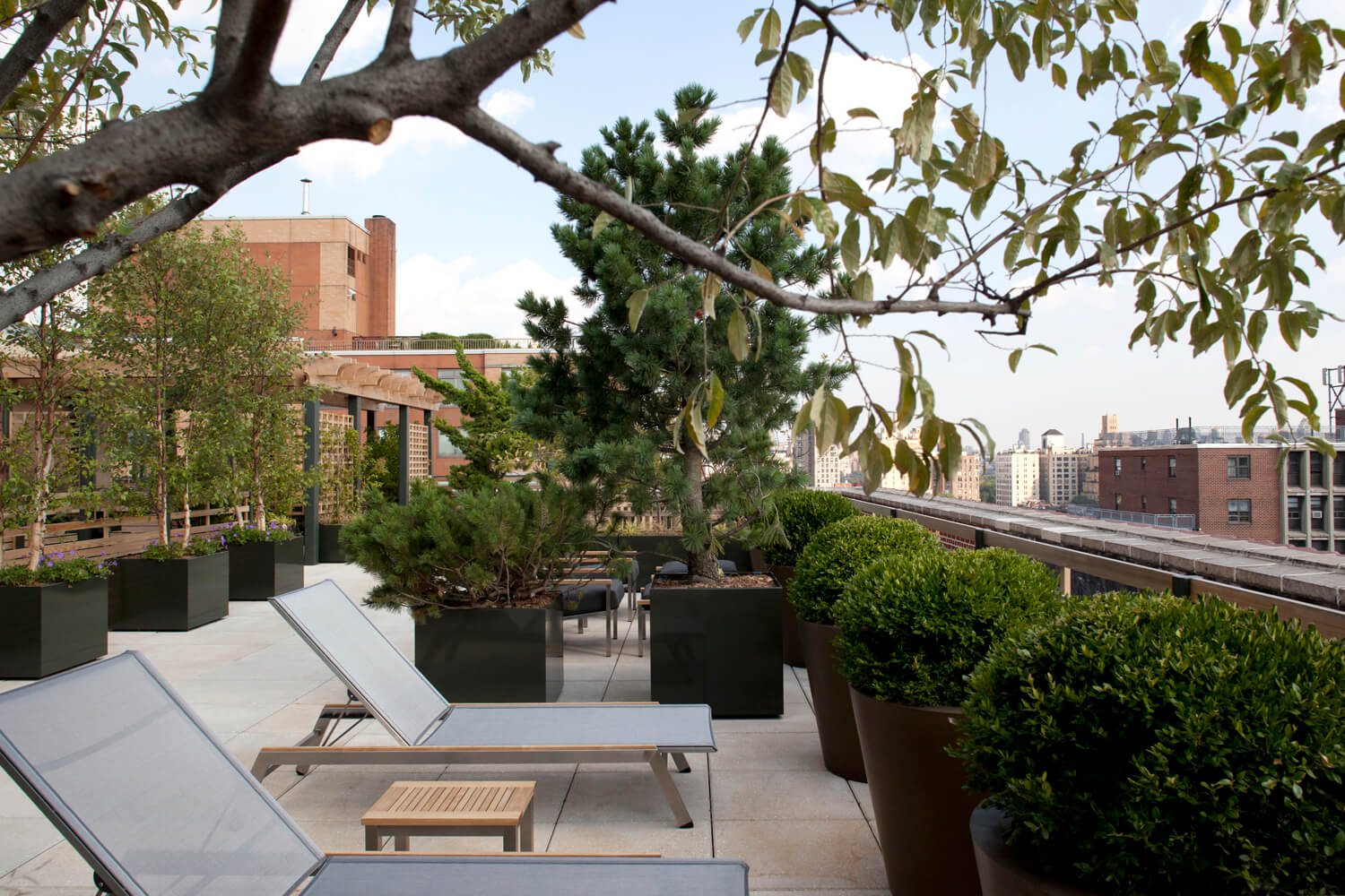 Upper Westside CO-OP